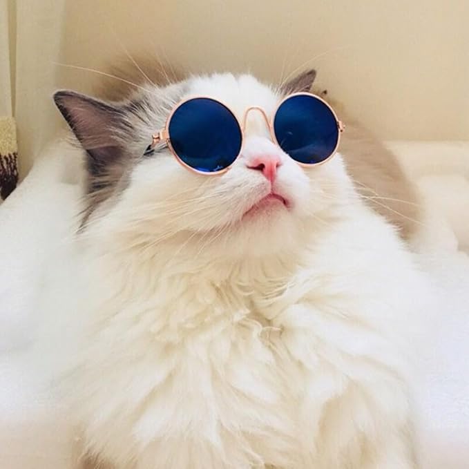 Pokinge 4Pcs Pet Glasses Multicolor Sunglasses Pet Puppy Protection Sunglasses Cat Glasses Cosplay Photo Prop Accessories Pet Supplies for Cat Dog