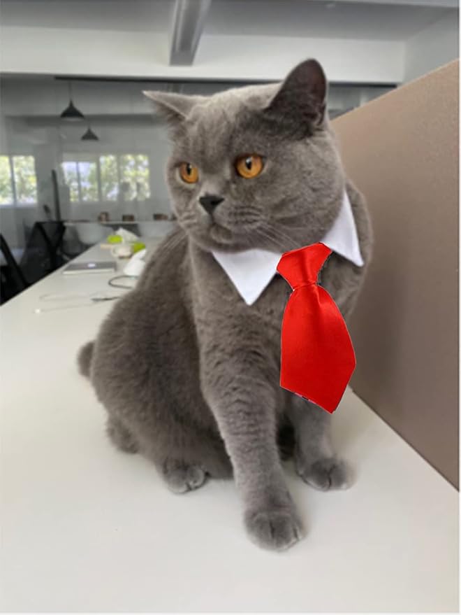 4 Pieces Pets Dog Cat Bowtie Pet Costume Adjustable Formal Necktie Collar for Cats Small Dogs Puppy Grooming Accessories (Black/red)