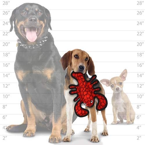 TUFFY - World's Tuffest Soft Dog Toy - Ocean Tiger Shark- Squeakers - Multiple Layers. Made Durable, Strong & Tough. Interactive Play (Tug, Toss & Fetch). Machine Washable & Floats (Combo Pack #2)