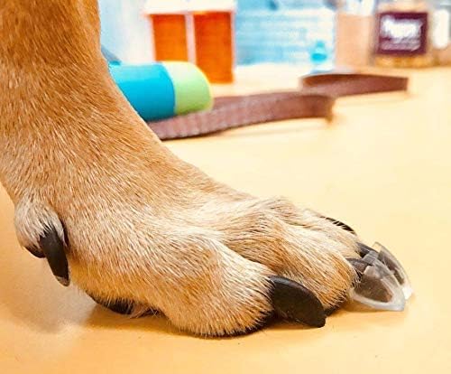 Dr. McHenry's Dog Toe Treads Set of 24, Adhesive, Cleaning Brush, Senior Dog Traction Mobility Support, Small Kit- Weight: 8-16 lbs. Net Weight 1.6 oz.