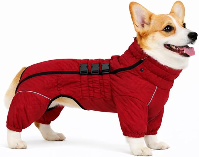 Lovelonglong Warm Coat Double Layers Vest, 4 Legs Covered Windproof Waterproof Reflective Outdoor Skating Costume for Corgis Dachshund Red D-M