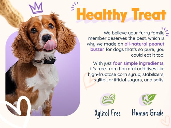BUDDY BUDDER Superberry Snoot, 100% Natural Dog Peanut Butter, Peanut Butter Dog Treat, Made in USA (17oz)