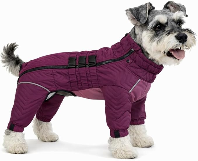 Warm Dog Coat Double Layers Dog Vest, 4 Legs Covered Windproof Waterproof Reflective Warm Dog Vest Outdoor Skating Dog Costume for Small Medium Large Dogs Purple XXL