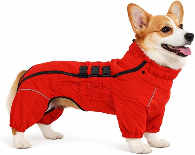 Lovelonglong Warm Coat Double Layers Vest, 4 Legs Covered Windproof Waterproof Reflective Outdoor Skating Costume for Corgis Dachshund Orange D-M