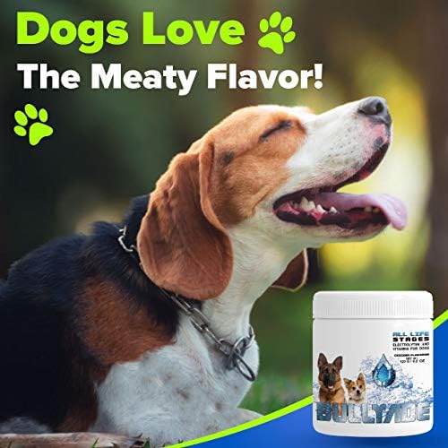 Natural Dog Supplement with 18 Vitamins, Minerals & Electrolytes. Mixes with Water or Food. (Beef)