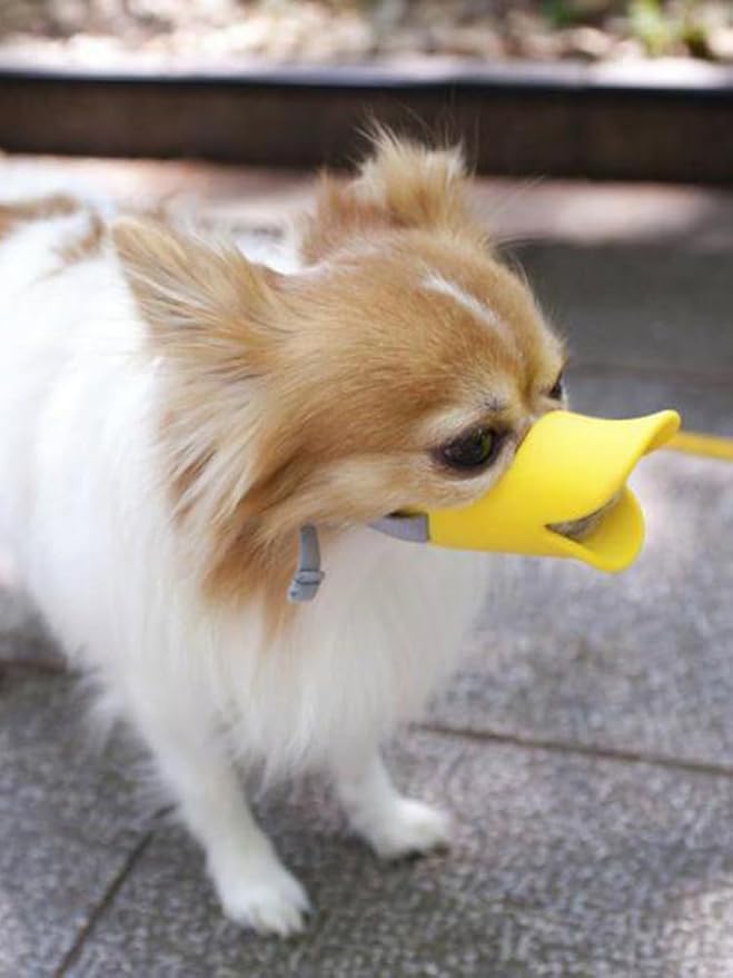 Dog Muzzle,Anti Bite Duck-Mouth Shape Dog MouthCovers,Soft Duck Silicone Mouth Cover w/Adjustable Strap,Dogs Muzzle Mask for Dogs Weighing 2.5-4.5kg Chihuahuas Teddy Bears(Yellow,M:11cm/4.33inch)