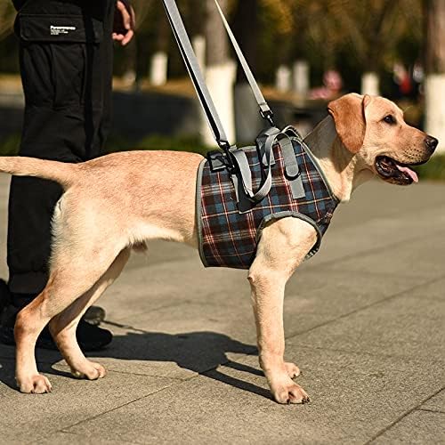 ROZKITCH Dog Lift Harness, Grid Pet Chest Support Aid Veterinarian Approved Sling for Old K9 Help with Poor Stability, Front Legs Disabled Joint Injury Elderly Arthritis ACL Rehabilitation Rehab