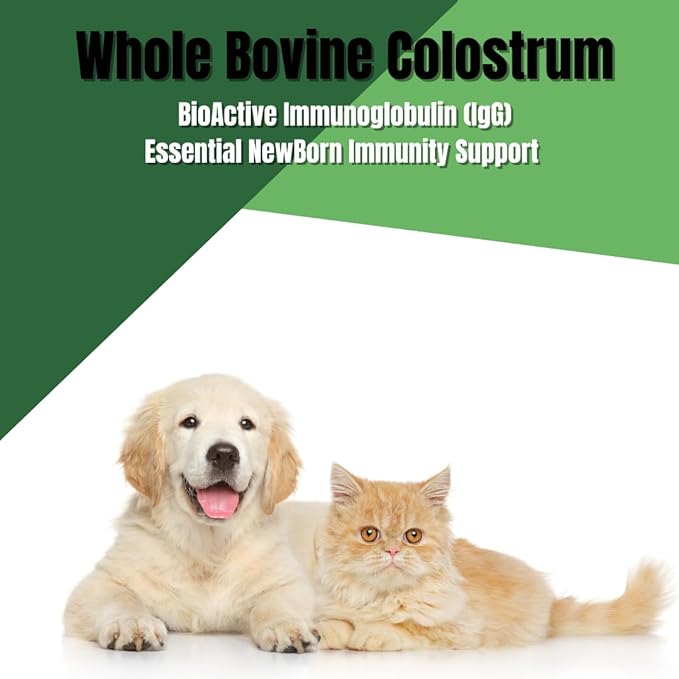 Dr. Orchard's Colostrum Paste, Immune Support Supplement for Puppies and Kittens, Bio-Active IgG Formula, 30g