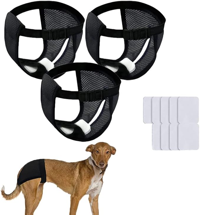 3PCS Reusable Dog Pants Dog Nappies, Breathable Mesh Pet Diapers 28-36cm/11-14inch with 9 Washable Female Dogs Sanitary Pads Sanitary Briefs Protective Trousers Underwear for Female Dog in Heat
