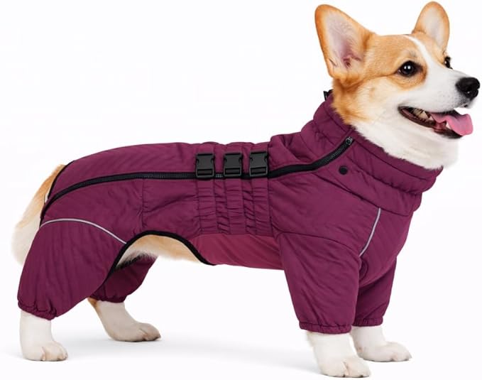 Lovelonglong Warm Dog Coat, Double Layers Vest, 4 Legs Covered Windproof Waterproof Reflective Outdoor Skating Costume for Corgis Dachshund, Purple, Size D-S