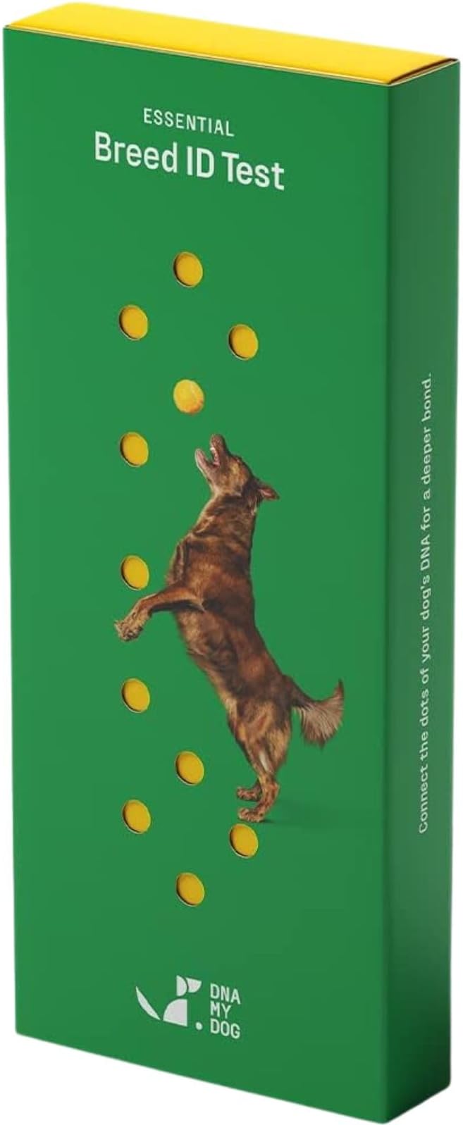 DNA MY DOG – Trusted & Affordable Breed Identification Test | 350+ Breeds Identified w/ 99%+ Accuracy | Complete Breed Analysis, Personality and Behavior Insights | Easy Cheek Swab, Results in 2 Weeks