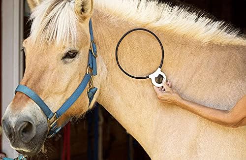 Assisi Loop 2.0 Manual tPEMF Device for Dogs, Cats, and Horses (20 cm)