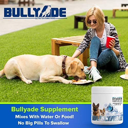 Natural Dog Supplement with 18 Vitamins, Minerals & Electrolytes. Mixes with Water or Food. (Beef)
