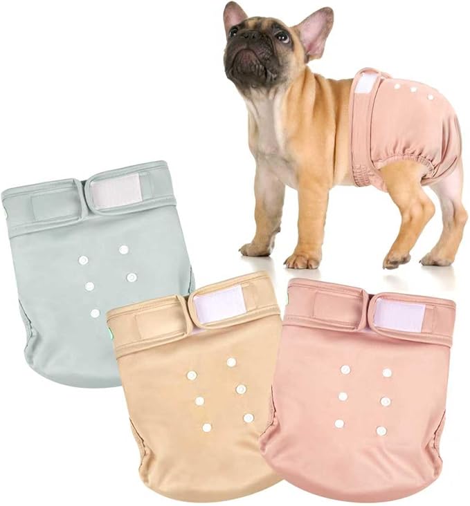 wegreeco Frenchie Dog Diapers Female No Tail Hole, Washable Pet French Puppy Bulldog Diapers Female for Period Heat, Reusable Doggy Doggie Dog Diapers (Medium