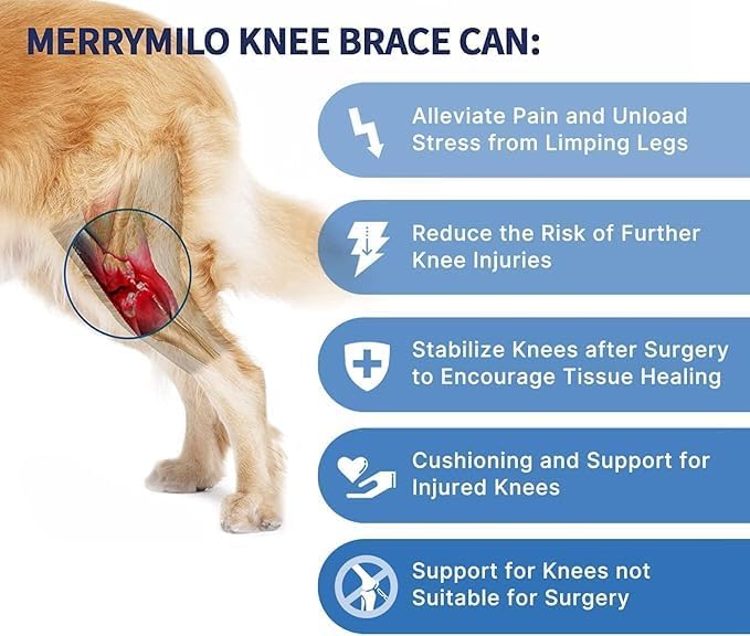 Dog Knee Brace for Hind & Rear Legs – Canine Leg Support for ACL, CCL, and Cruciate Ligament Injuries, Arthritis, and Post-Surgery Recovery – Adjustable, Durable, Black, Size XXL