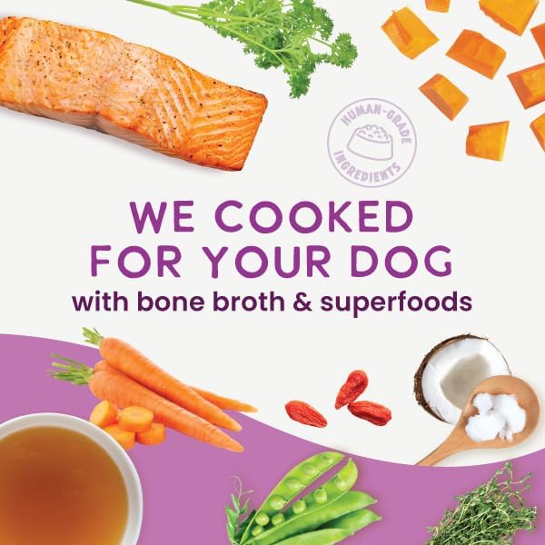 Health Extension Gently Cooked Grain-Free Salmon Dog Food, Human-Grade & Shelf-Stable with Superfoods, Supports Digestion, Immunity, Skin & Coat, 3 oz Pouch (Pack of 20)