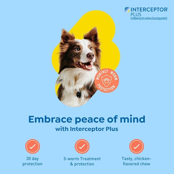 Interceptor Plus Prevention for Heartworm + 4 Other Worms for Dogs 25.1-50 lbs. | 1 Chew, 1-Month Supply