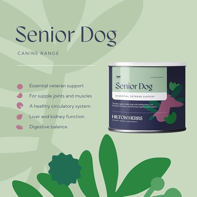 Hilton Herbs Senior Dog Optimum Health Supplement for Older Dogs, 2.1 oz Tub