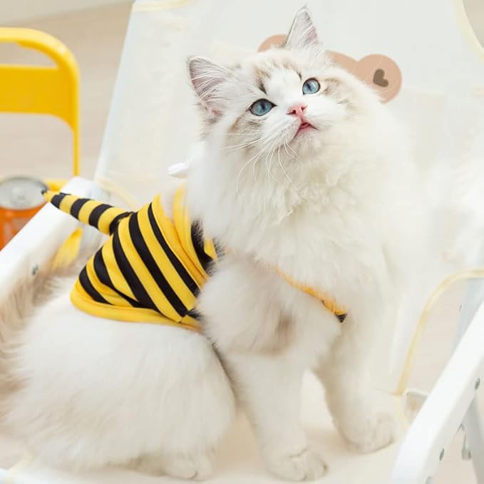 Funny Dog Swimwear Bikini Summer Dog Clothes Beach Swimsuit Puppy Bathing Suit Puppy Vest Cooling Pet Shirt for Small Dogs, Cat Apparel (X-Small, Yellow Bee)