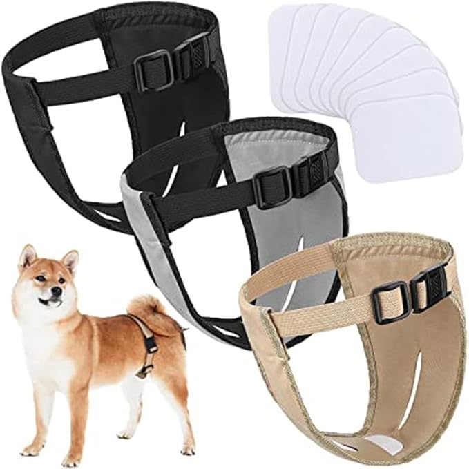 Dog Sanitary Panties Female, (Reusable 2PCS Dog Pants with 6 Pcs Diaper), Breathable Mesh Washable Dogs Sanitary Pads(Gray+Black 2XL)