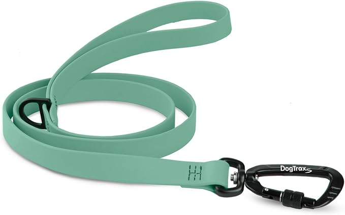 DogTraxs - Essential Dog Leash - for Small-Large Dogs - Waterproof & Odor Resistant - Self Locking Swivel Carabiner Durable - 1" x 5 Feet – Sage Green