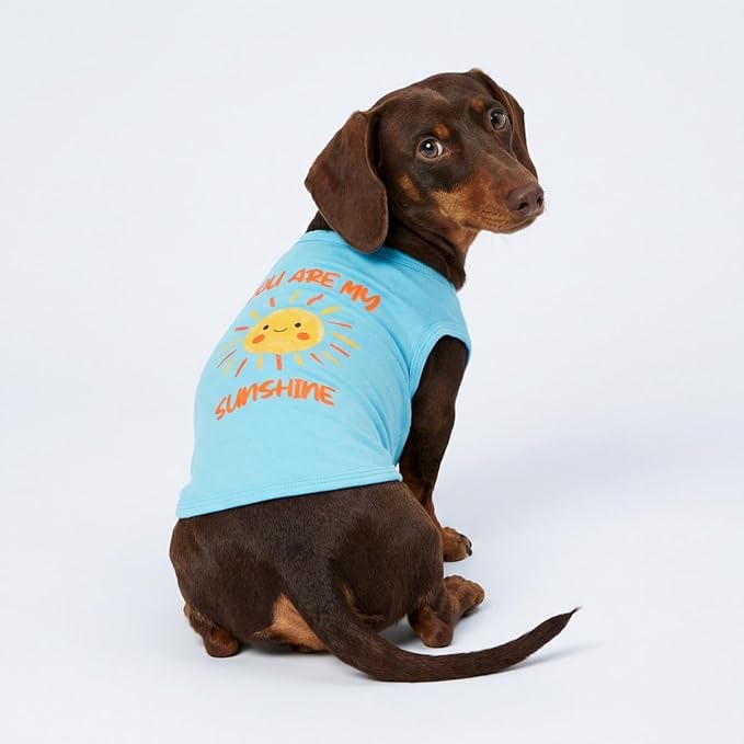 Fitwarm You are My Sunshine Dog Shirt, Tropical Summer Clothes for Small Dogs Boy Girl, Funny Pet Outfit, Blue, Yellow, Medium
