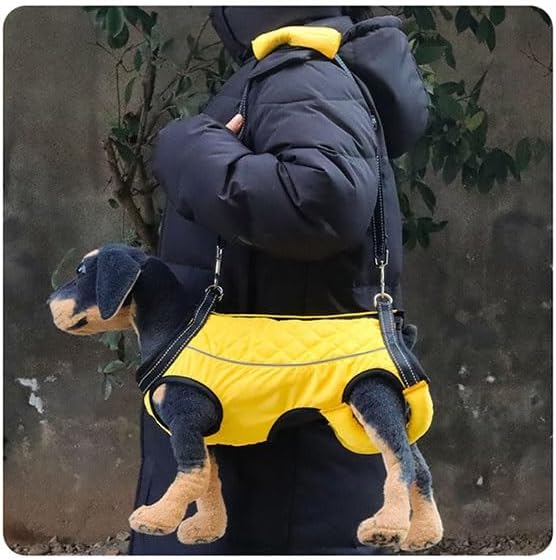 Full Body Dog Lift Harness for Rehabilitation and Support, Breathable and Adjustable Aid Harness for Senior, Injured Or Disabled Pets(X-Small)