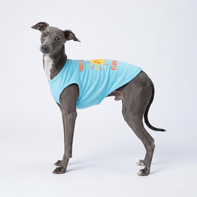 Fitwarm You are My Sunshine Dog Shirt, Tropical Summer Clothes for Small Dogs Boy Girl, Funny Pet Outfit, Blue, Yellow, Medium