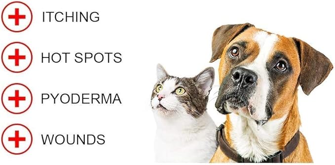 Forticept Blue Butter – Hot Spot Treatment for Dogs & Cats, Wound and Skin Care Infections, Cuts, Rashes Gel Veterinary Strength Topical Ointment 2oz