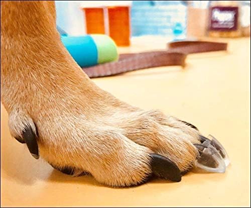 TAKTIKAL Dr. McHenry's Dog Toe Treads, Set of 24, Adhesive, Cleaning Brush, Increased Traction, Dog Mobility Support, X-Large Kit- Weight: 60-150 lbs. Net Weight 1.6 oz.