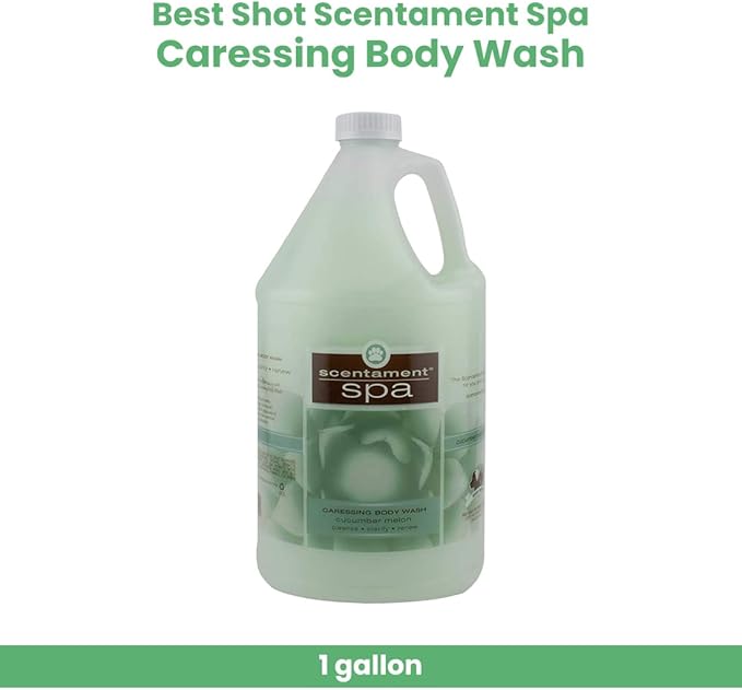 Best Shot Scentament Spa Caressing Body Wash, Cucumber Melon, 1 Gallon