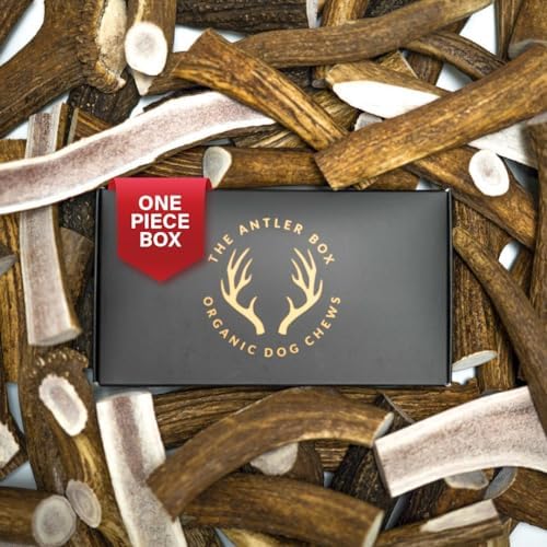 The Antler Box Premium Elk Antler Dog Chews (1 Piece Box) (Split, Large (4-6Oz)