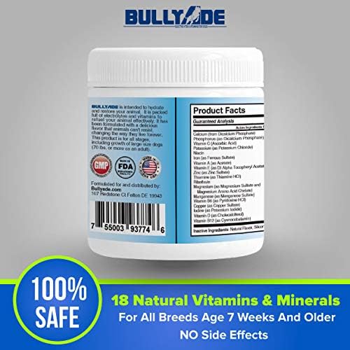 Natural Dog Supplement with 18 Vitamins, Minerals & Electrolytes. Mixes with Water or Food. (Beef)
