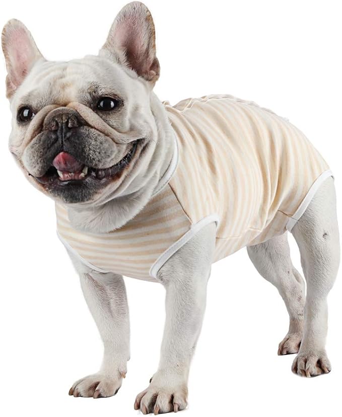 Dog Diapers Period Suit for Female Dog Sanitary Panties in Heat Male Doggy Diapers Cover Dog Onesie to Keep Diaper On Fit for Small Medium Dogs Yellow Stripe/Medium