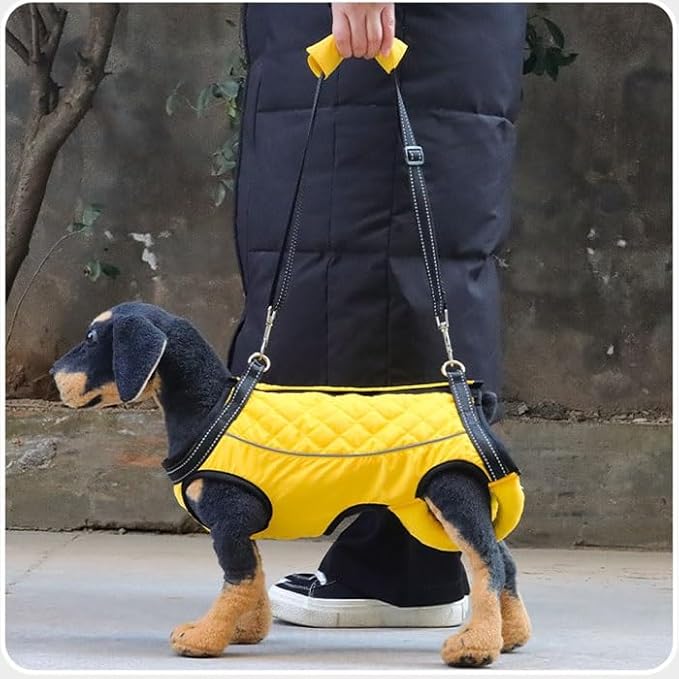 Full Body Dog Lift Harness for Rehabilitation and Support, Breathable and Adjustable Aid Harness for Senior, Injured Or Disabled Pets(X-Large)