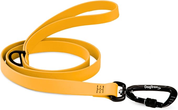 DogTraxs - Essential Dog Leash - for Small-Large Dogs - Waterproof & Odor Resistant - Self Locking Swivel Carabiner Durable - 1" x 5 Feet – Orange Peach
