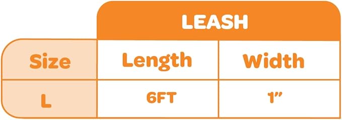 Best Pet Supplies Voyager Reflective Dog Leash or Collar with Neoprene Handle, for Small, Medium, and Large Breed Puppies, Cute and Heavy Duty for Walking, Running and Training - Orange Leash, L