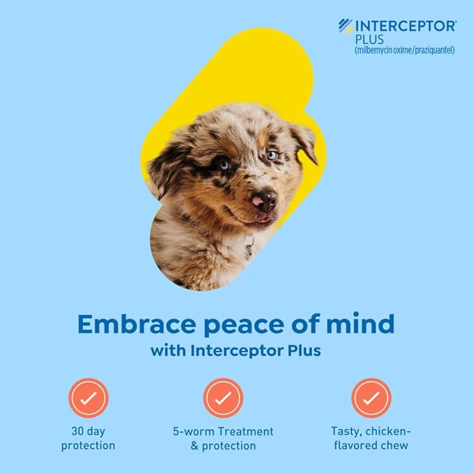 Interceptor Plus Prevention for Heartworm + 4 Other Worms for Dogs 2-8 lbs. | 1 Chew, 1-Month Supply