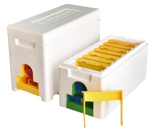 1set 4-Way Queen Bee Mating Nuc Box – 120kg/m³ High-Density EPS Insulated | Multi-Queen Rearing Complete Small Hive Kit for Beginner & Hobbyist Beekeepers