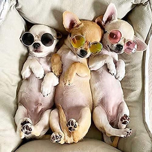 Pet Sunglasses- Cat UV Protection Classic Retro Small Dog Sun Glasses Dolls Round Sunglasses Party Cosplay Costume Photo Props Cute Funny Sunglasses (4Pcs)