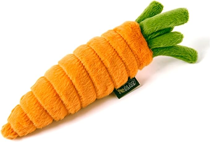 P.L.A.Y. Cute Plush Dog Toys - Fruit & Vegetable Themed Durable Squeaker Chew Toy, Great for Puppies & Small, Medium, Large Dogs - Machine Washable, Recycled Materials (Garden Fresh Carrot, Medium)