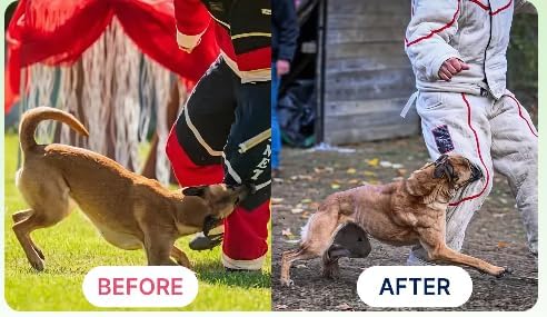 K9 Power Super Fuel - Premium Nutrional Supplement for Active Dogs, Canine Energy Support, Muscle and Energy for Enhanced Performance, 1lbs