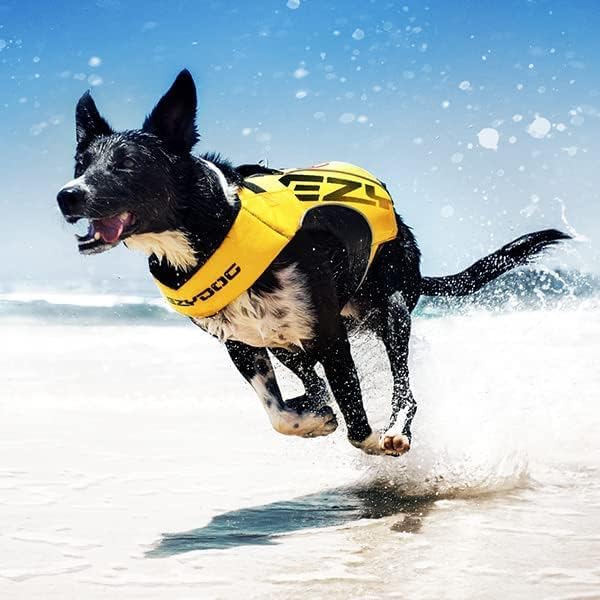 EzyDog DFD X2 Dog Life Jacket - Adjustable Swimming Safety Life Vest Preserver with Continuous Neck Flotation, Reflective Trim, & Grab Handle (4XS, Red)