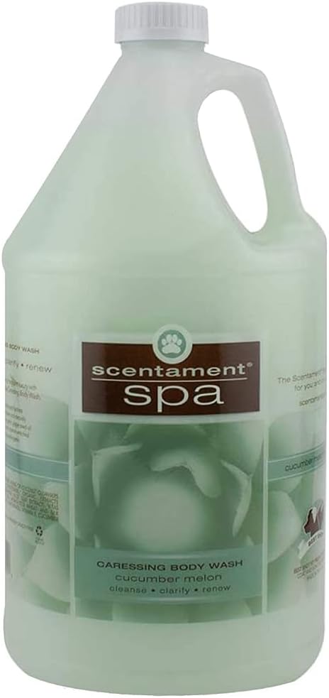 Best Shot Scentament Spa Caressing Body Wash, Cucumber Melon, 1 Gallon