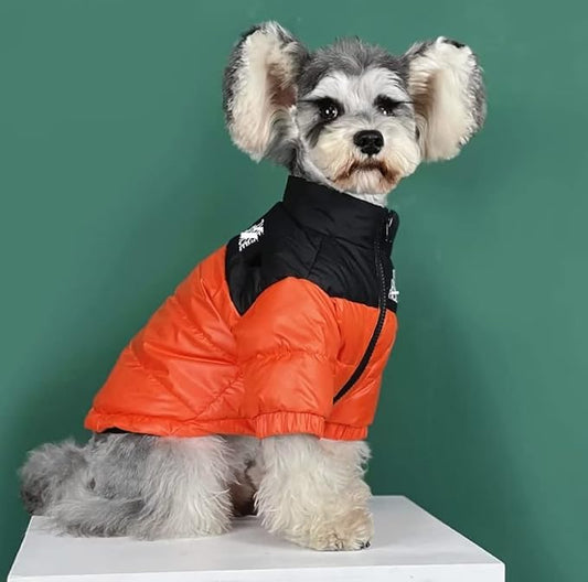 Dog Winter Coat Duck Down Jacket for Small Medium Dogs-Thicken Dog Coat Windbreaker Puppy Winter Clothes for Cold Weather Snowday (Orange, X-Large)
