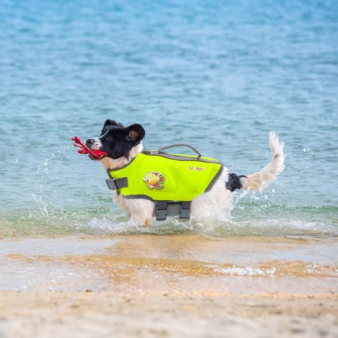 Dog Life Jacket - Small Dog Flotation Vest with Reflective Stripes and Rescue Handle