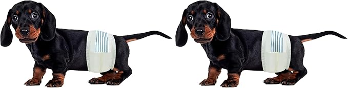BV Dog Diapers Male Small (Waist 12-19in) Super Absorbent - Disposable - Doggie Diapers with Wetness Indicator - Adjustable Male Dog Wraps - Ideal for Incontinence/Training, 50 Count (Pack of 2)