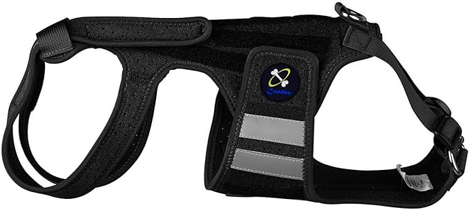 Coodeo Dog Back Brace for Dogs Arthritis, Pet Back Bracer for IVDD, Back Protector Helps Pain Relief, Surgical Recovery and Rehabilitation, Dogs Back Disease Prevention. (Black,Medium)