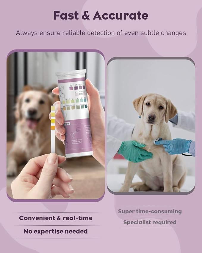 Pawfly Urine Test Strips for Dogs & Cats, 100 Strips, 4 in 1 Pet Urine Testing Strips for Leukocytes, Nitrite, Protein & Blood, UTI Test Strips, Urinalysis Test Strips for Vets