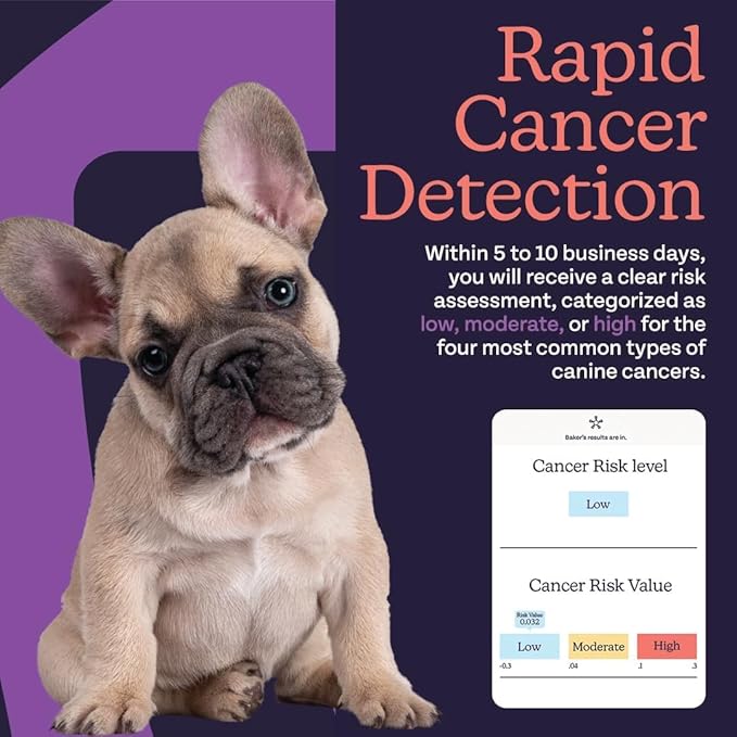 Premium Dog Cancer Screening Test Kit – Non-Invasive, at-Home Urine Test for General Wellness Insights – Suitable for All Breeds and Ages